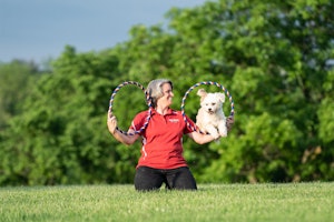 Purina Farms Incredible dog arena with a trainer holding hoops and small dog jumping through outside in the grass