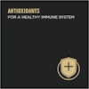 Antioxidants for a healthy immune system
