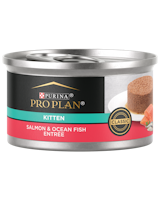 pro plan kitten salmon ocean fish wet cat food