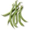 Green Beans