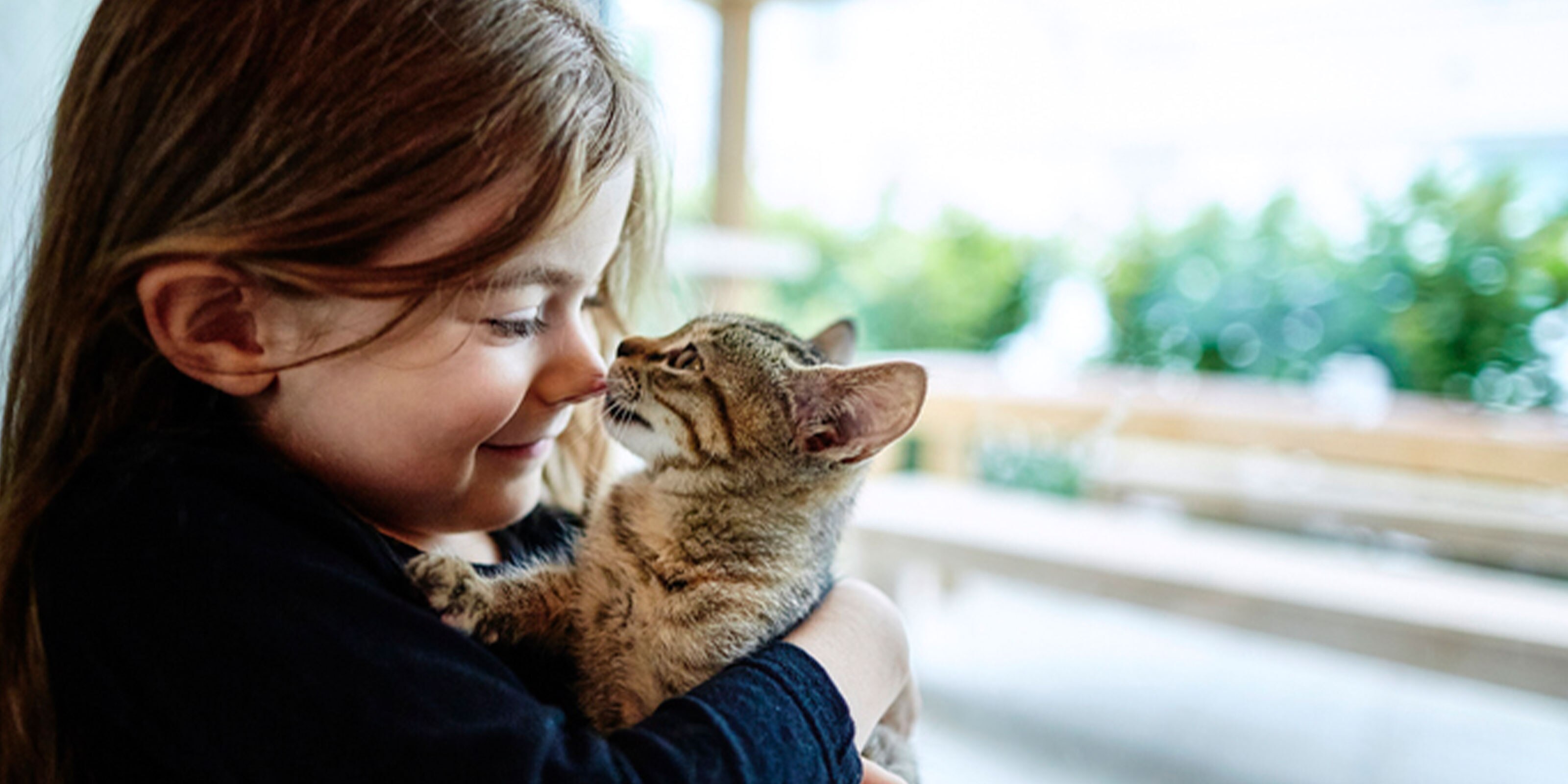 Do Cats Need Different Food at Different Stages? Purina