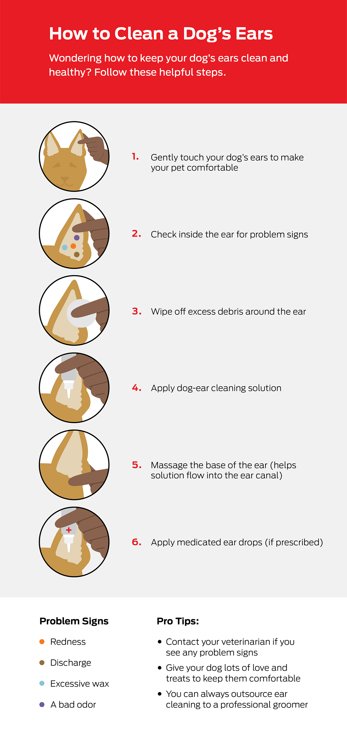 how to clean a dogs ears step-by-step infographic