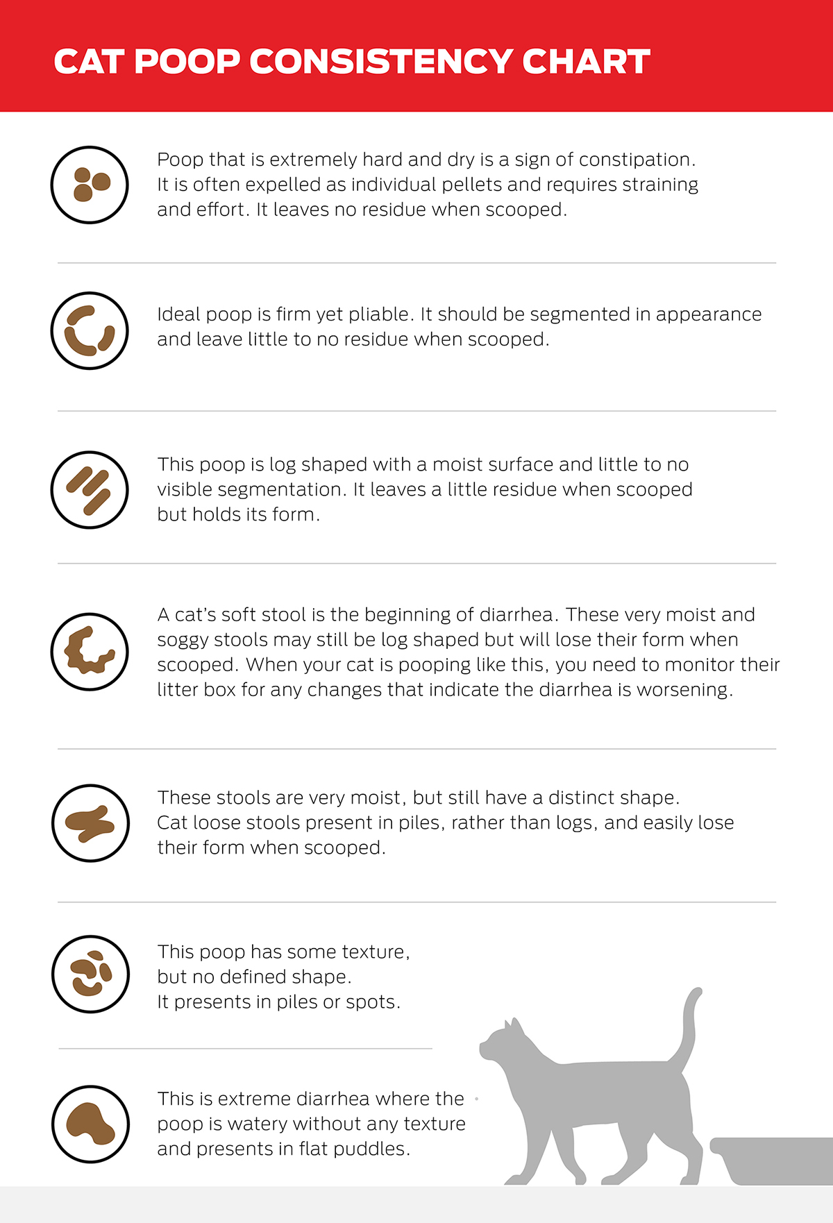 cat poop consistency chart infographic