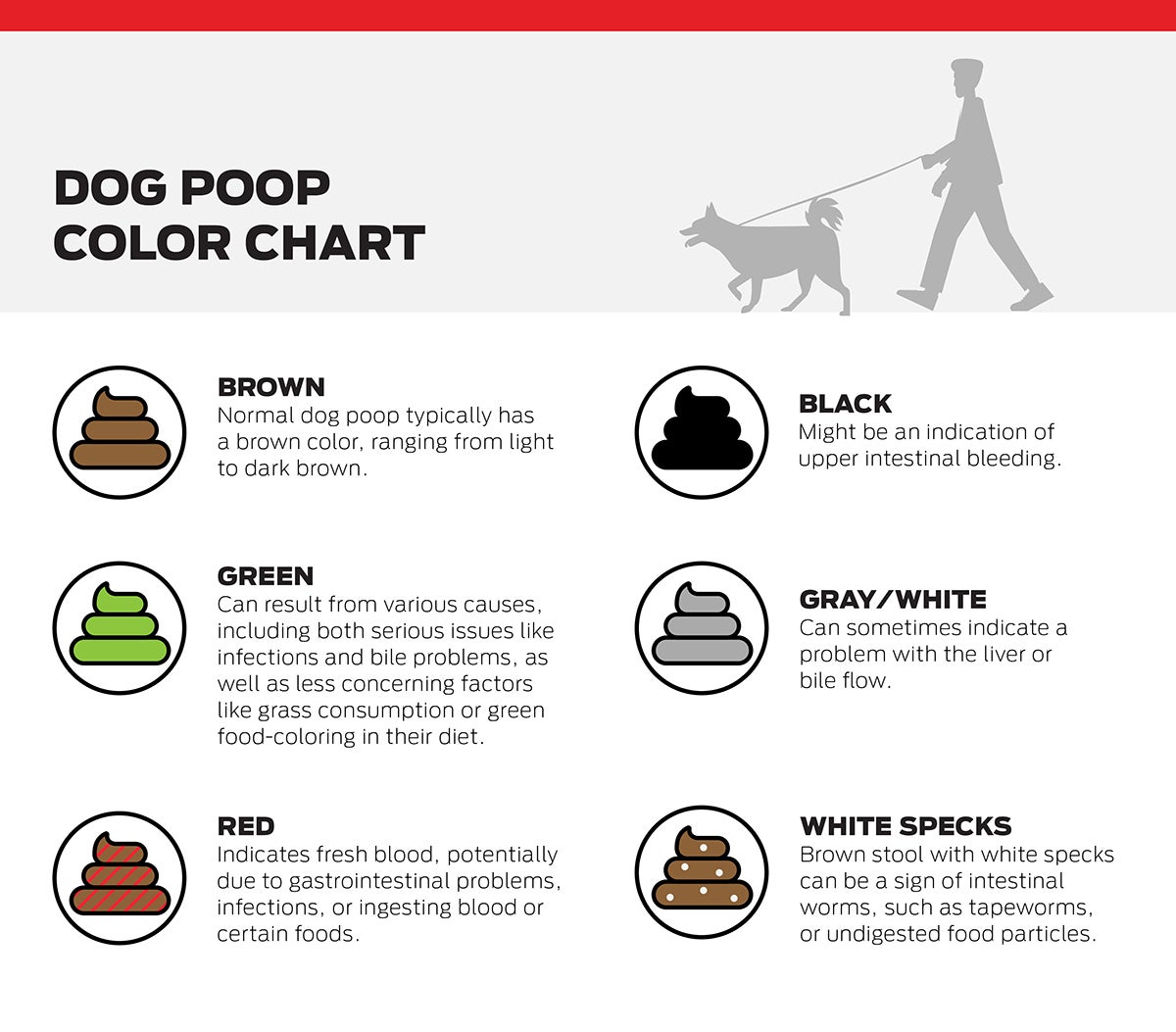 A guide to types of dog poop color