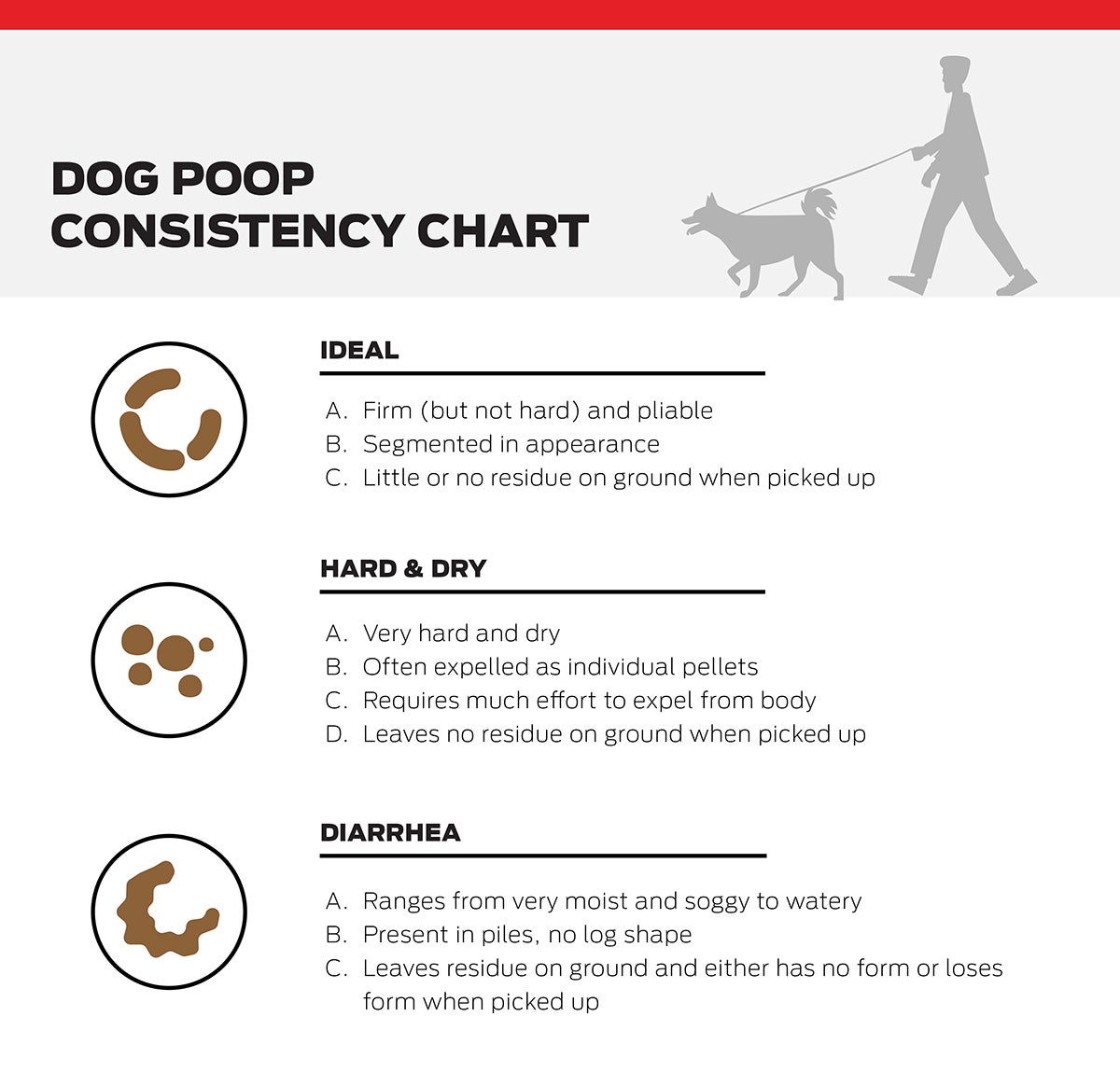 A guide to types of dog poop consistency