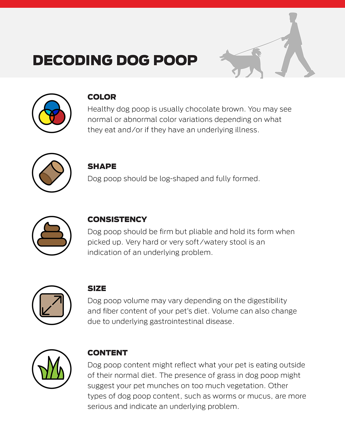 A guide to decode types of dog poop