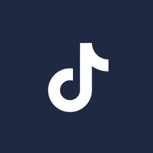 TikTok profile for Beggin