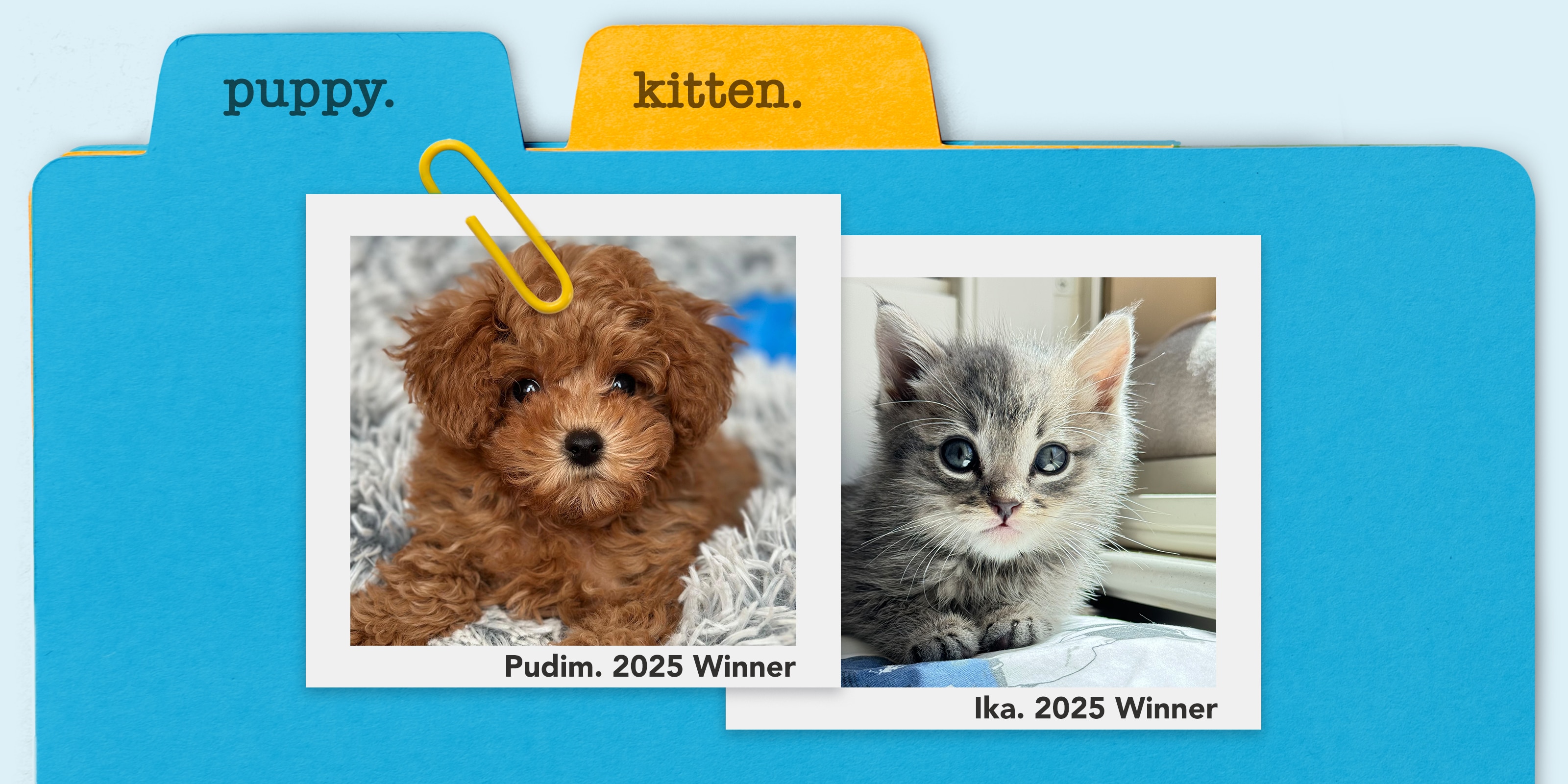 Tabbed puppy and kitten folders with text 'puppy', 'kitten', 'Puddin, 2025 Winner', and 'Ika, 2025 Winner'.