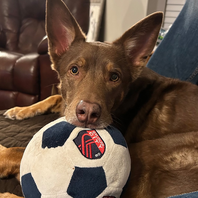Finley