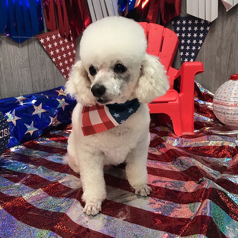 Max