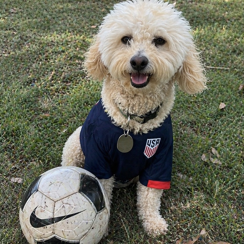 Milo