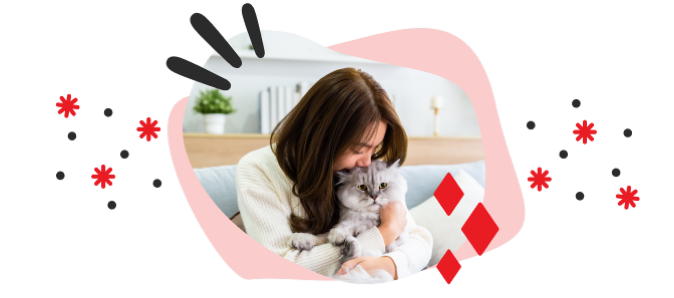 A woman kisses a fluffy white cat on the head, the image is framed by sparkle and dot illustrations.