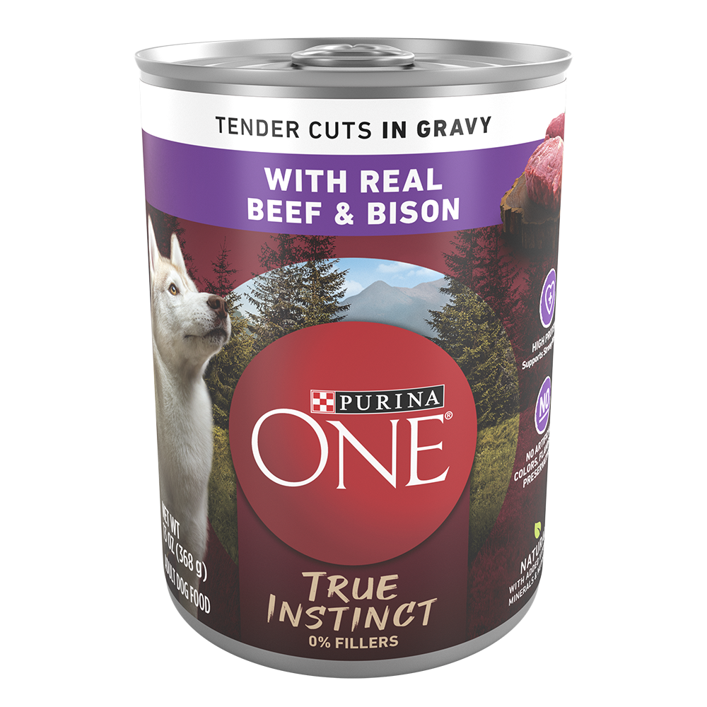 Purina ONE Beef Bison Tender Cuts In Gravy Wet Dog Food Purina US