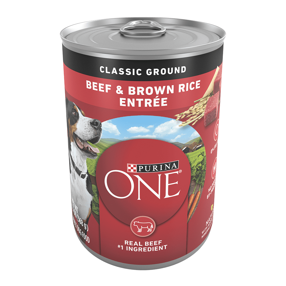 Purina ONE Beef Brown Rice Entree Wet Dog Food Purina