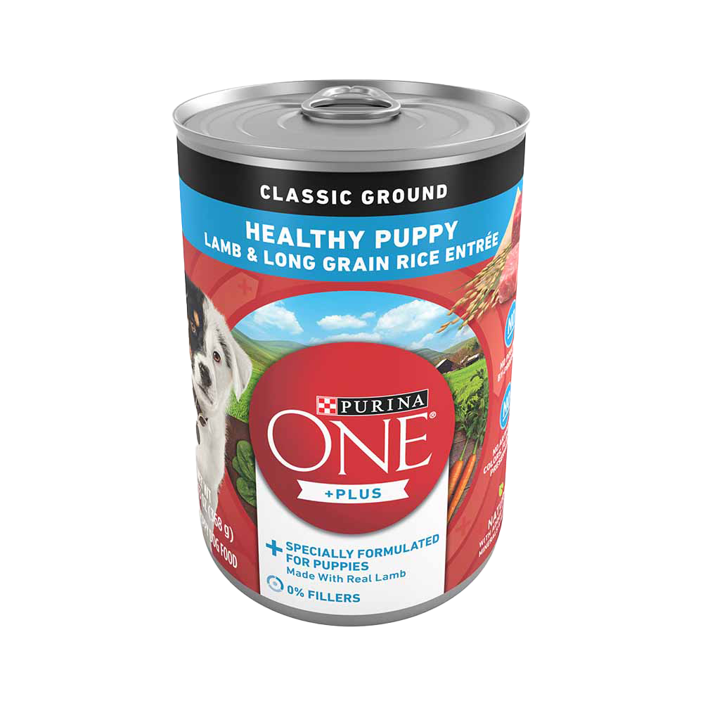 When to start puppies on wet food shop