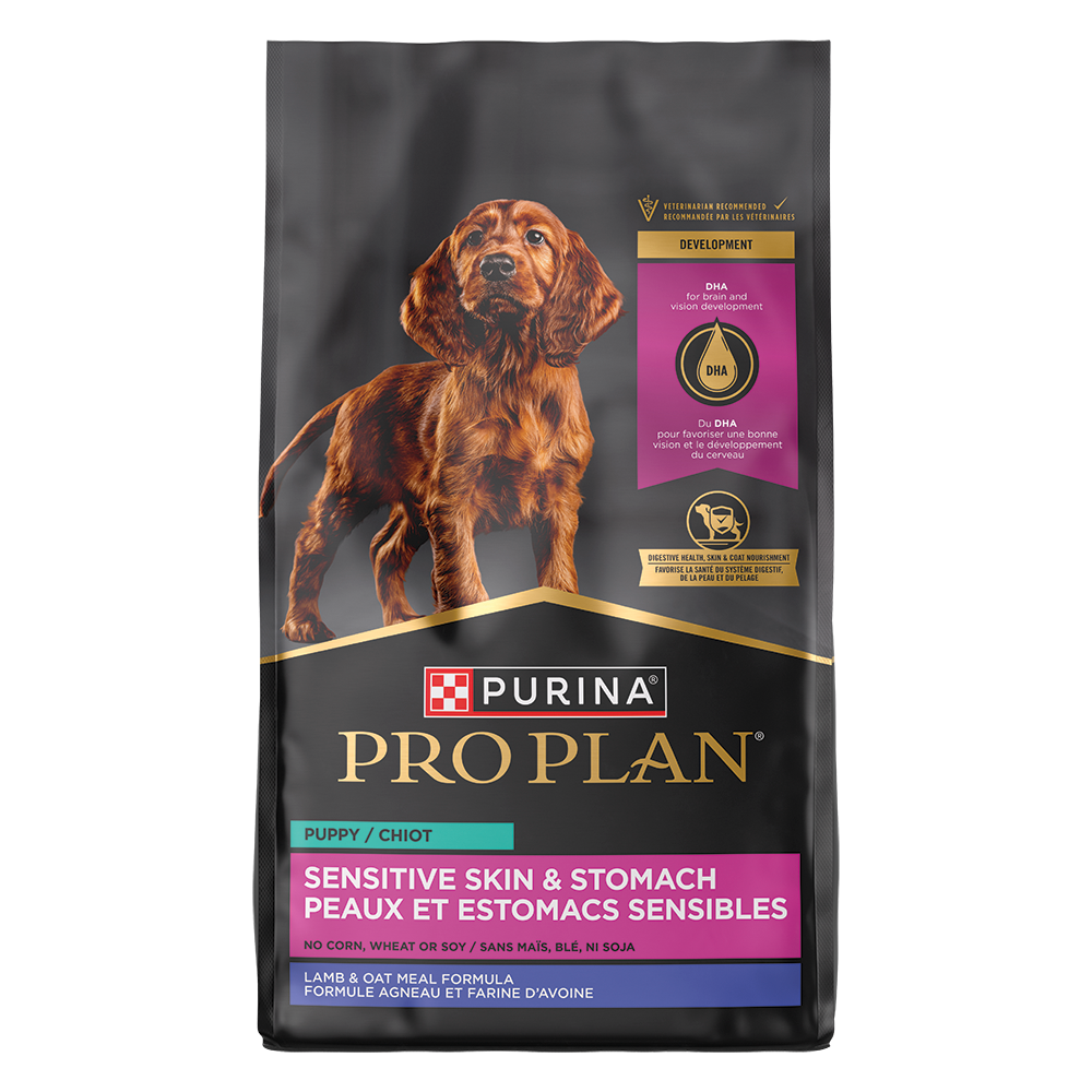 Pro plan puppy sales lamb
