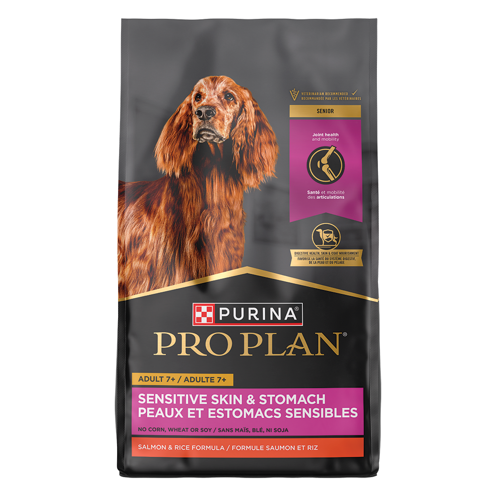 Best dog food for top senior dogs with sensitive stomach