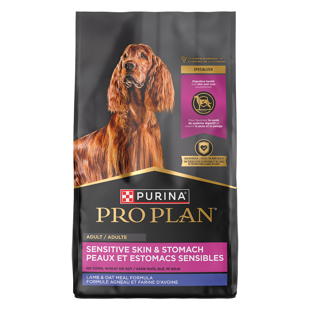 Best dry dog sales food for sensitive skin