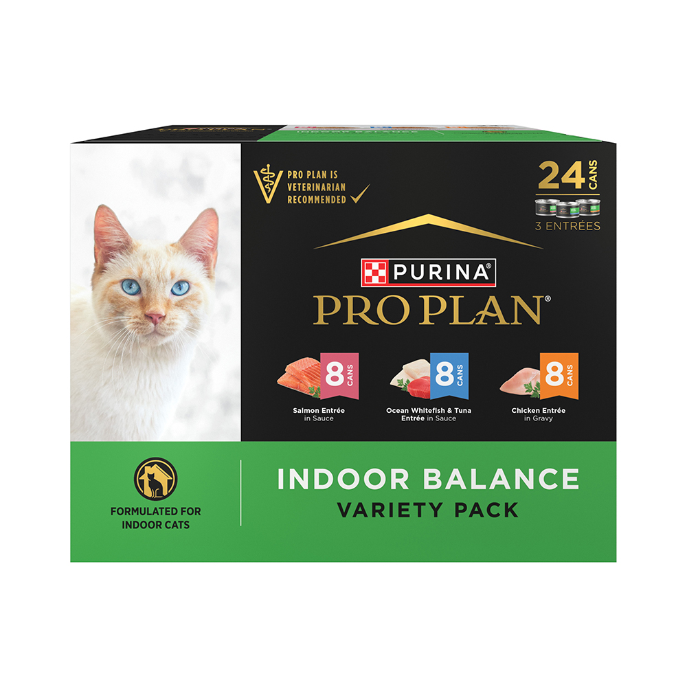 Indoor wet cat food outlet