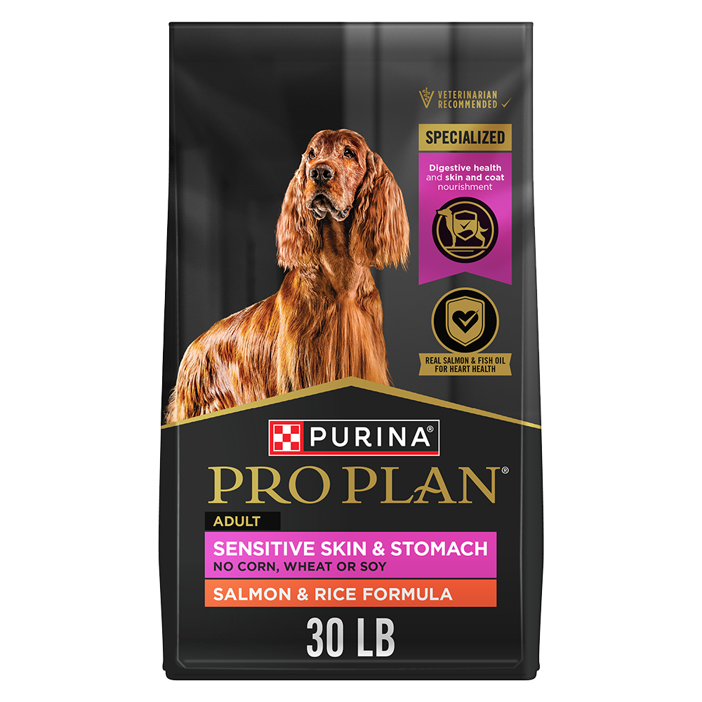 Pro plan focus review online
