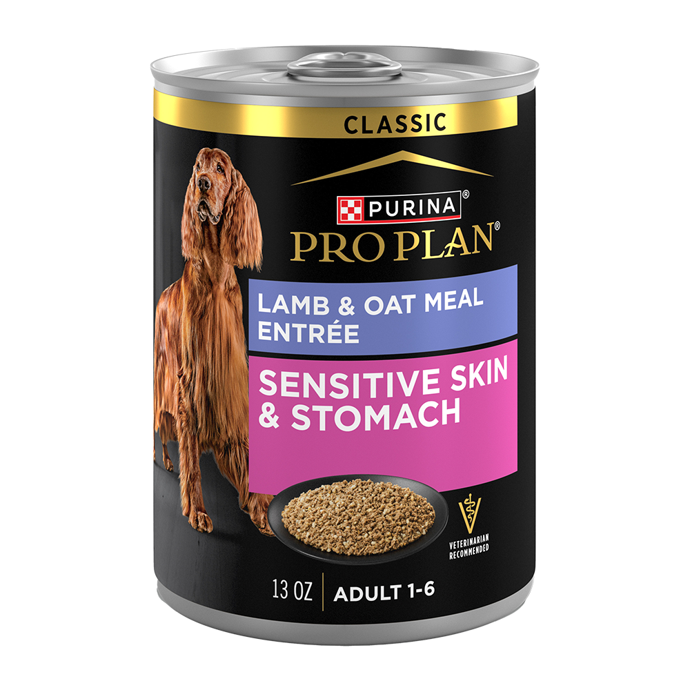 Pro Plan Sensitive Skin & Stomach Lamb Wet Dog Food | Purina US