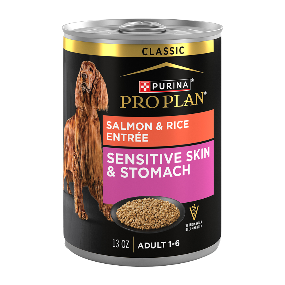Purina Pro Plan Sensitive Skin & Stomach Wet Dog Food Classic Salmon & Rice Entree