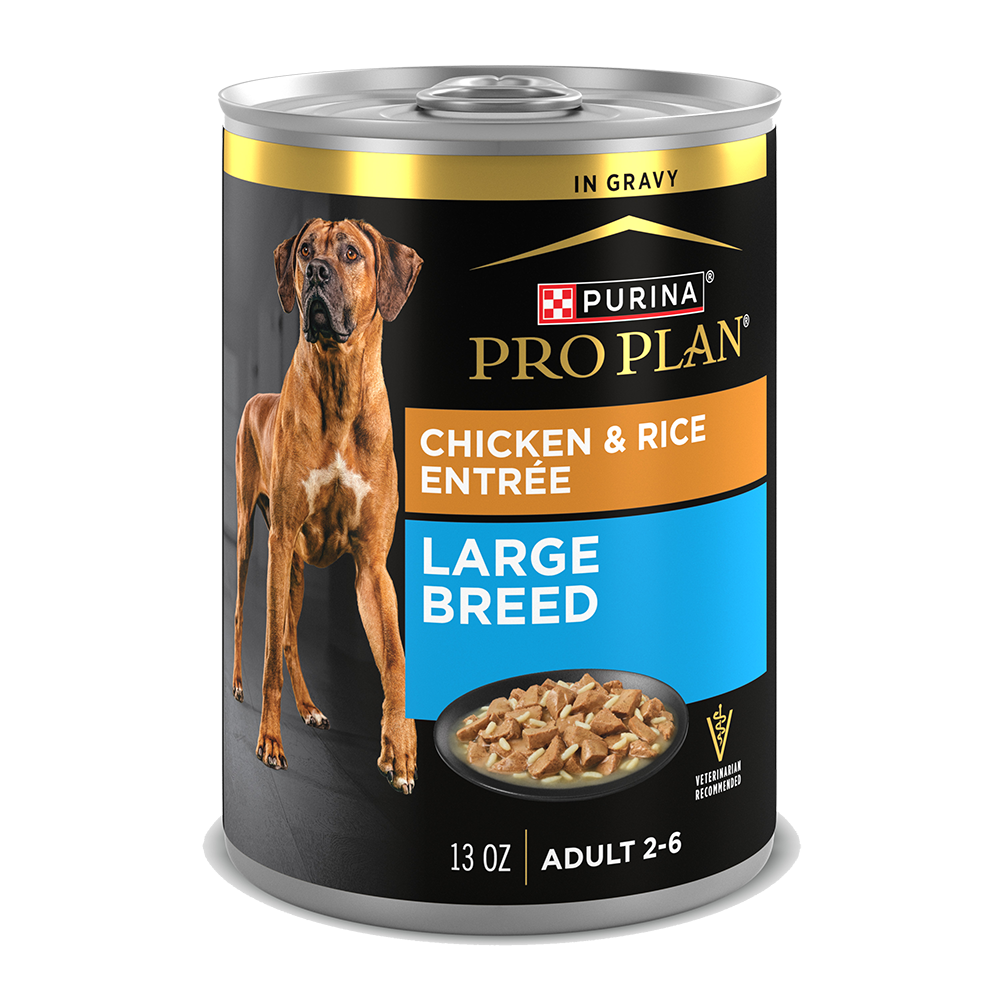 Canine Nutrition Best Wet Food For Older Dogs Wet Dog Food Canned