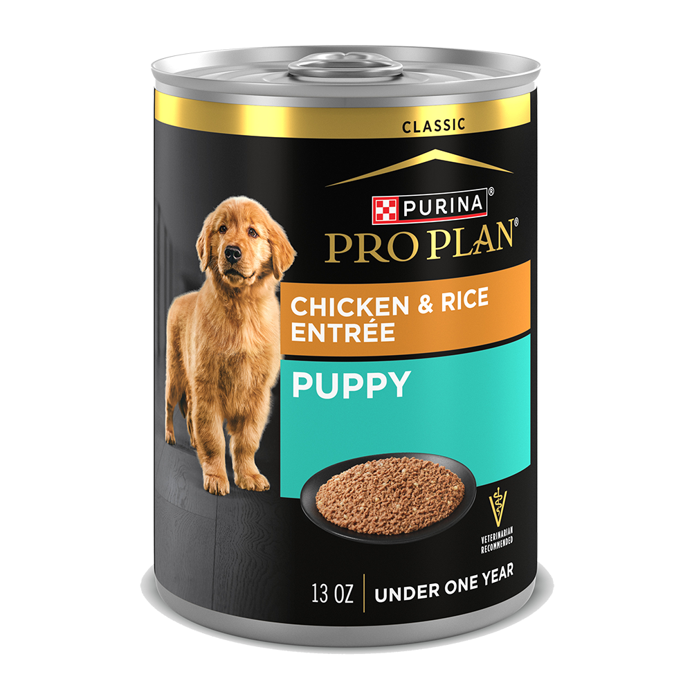Nutrition Best Wet Puppy Food For Large Breeds Pro Plan Chicken