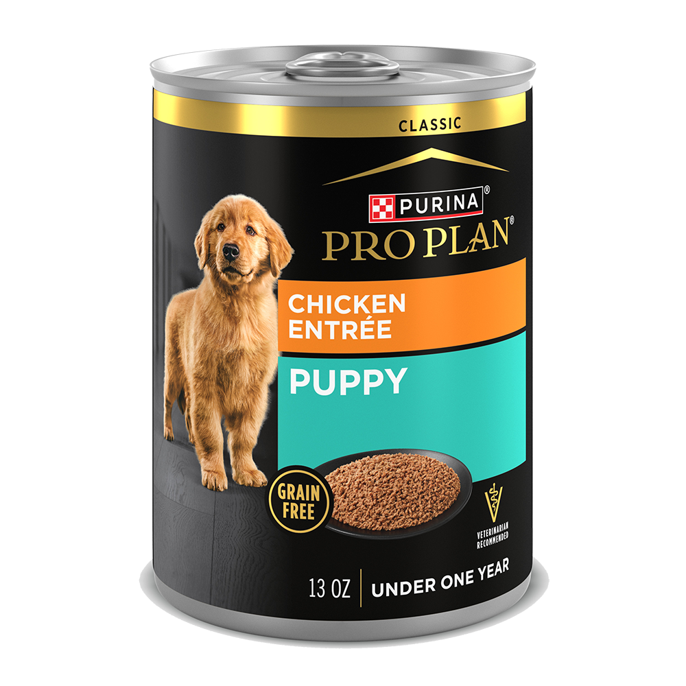 Pro Plan Grain Free Chicken Entrée Wet Puppy Food Purina US