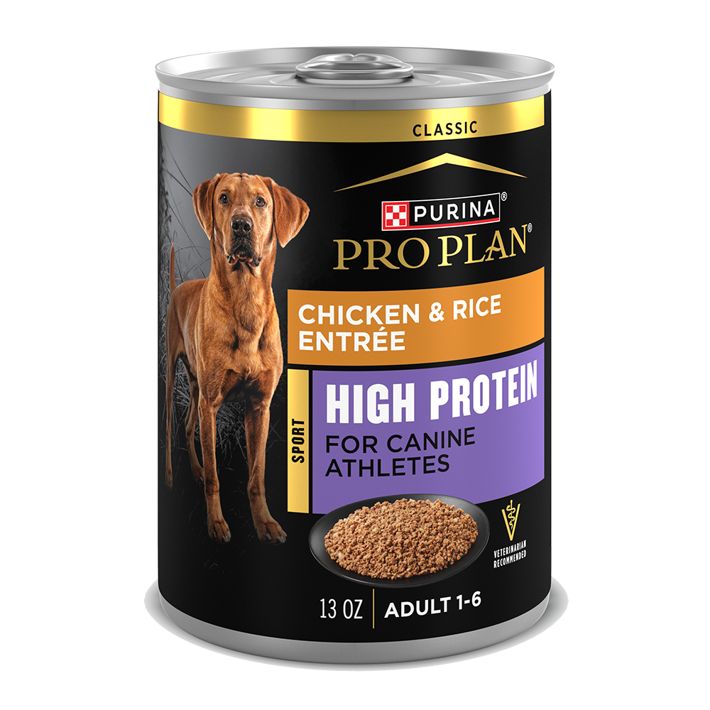Pro Plan Sport High Protein Chicken Rice Wet Dog Food Purina US