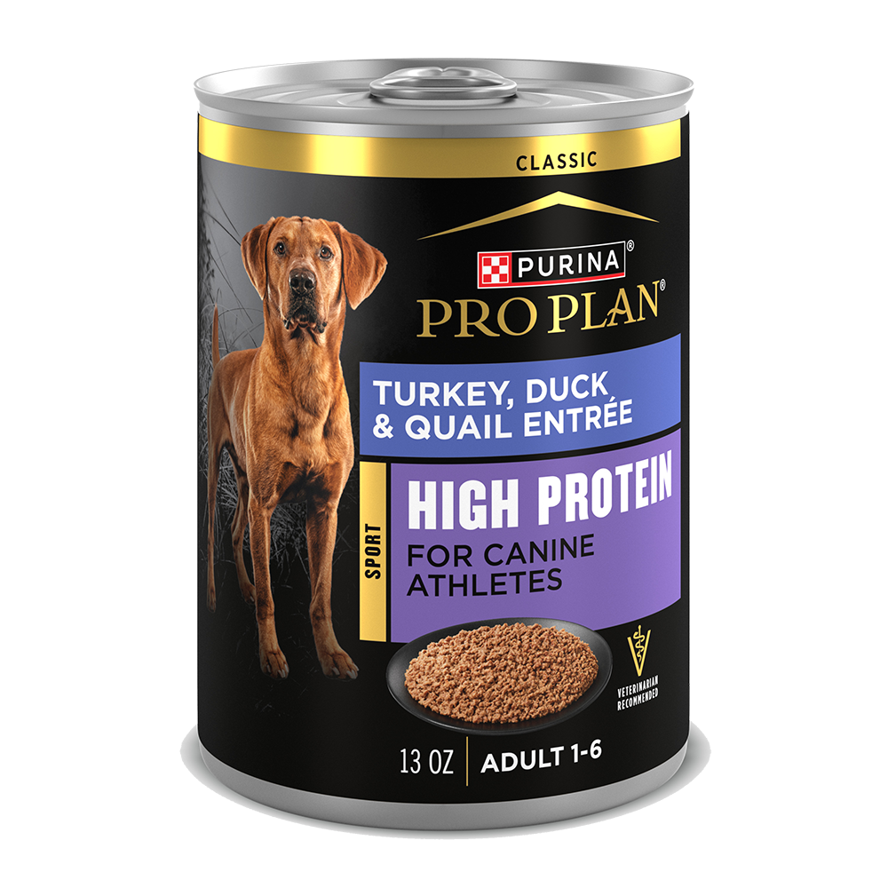 Pro Plan Sport High Protein Turkey & Duck Wet Dog Food | Purina US
