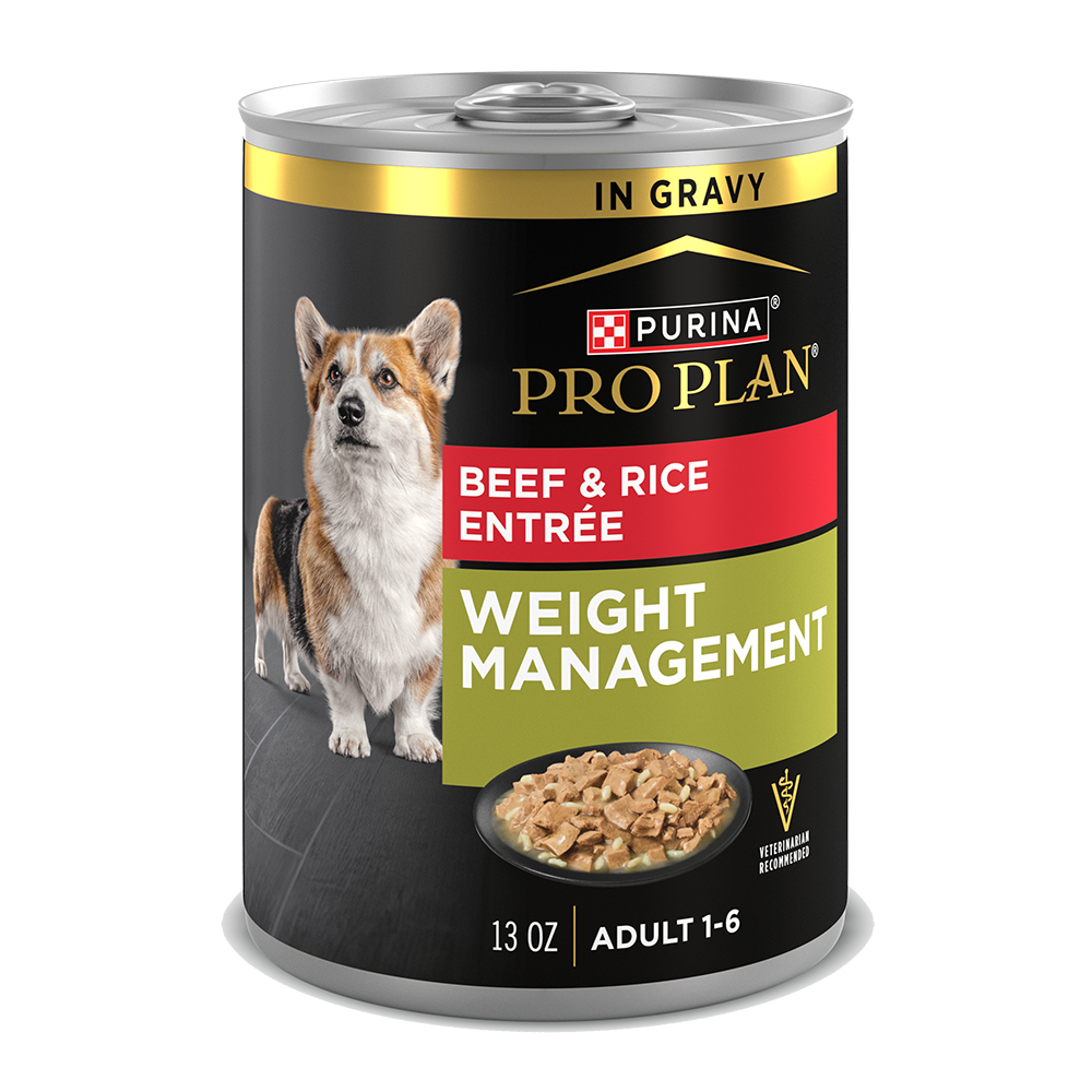 Pro Plan Weight Management Beef Rice Wet Dog Food Purina US - Main Image