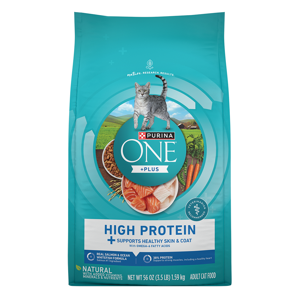 Purina ONE +Plus Skin Coat Health Salmon Dry Cat Food Purina US