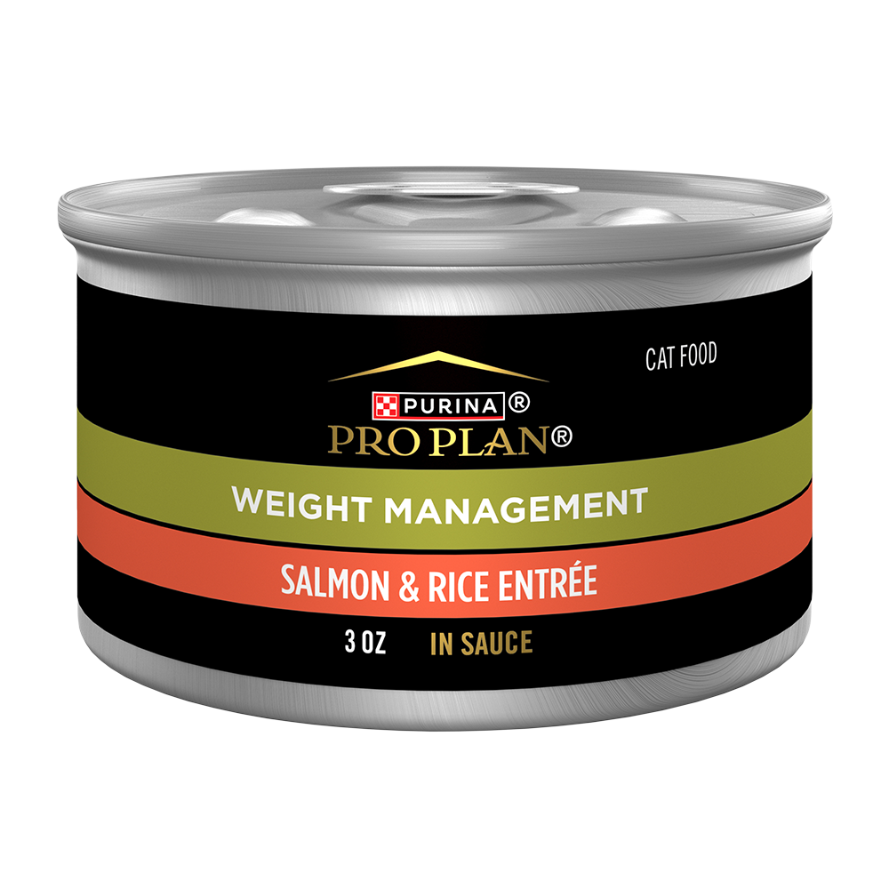 Canned Salmon Wet Cat Food Adult Weight Management Formula Dry Dog
