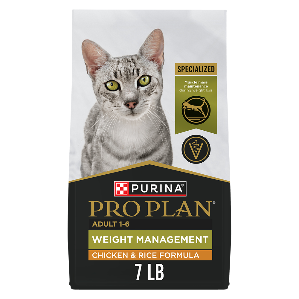 What is the Difference between Weight Loss And Weight Management: Key Insights Explained