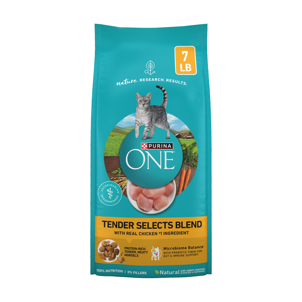Purina ONE Tender Selects Blend Real Chicken Dry Cat Food | Purina US