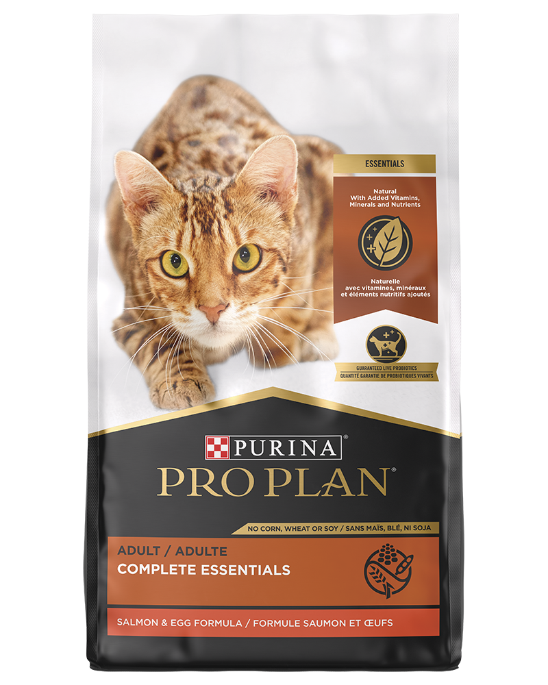 Pro Plan Complete Grain Free Salmon Dry Cat Food Purina US