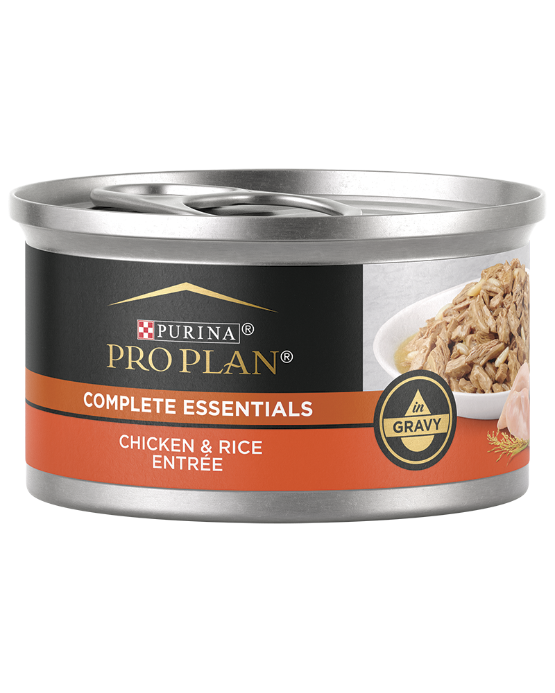 Pro plan chicken and best sale rice cat
