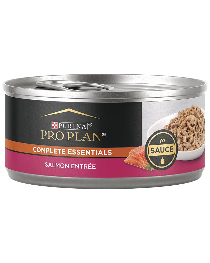 Purina Pro Plan Salmon Entree in Sauce Canned Cat Food
