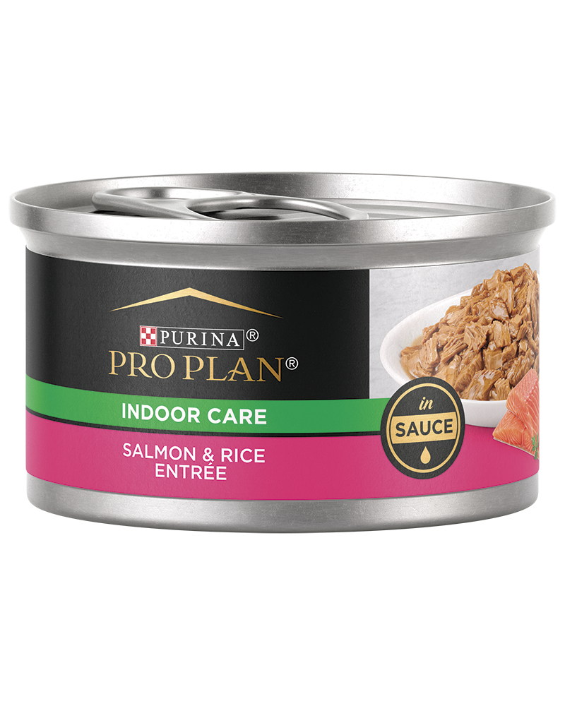Pro plan indoor cat online