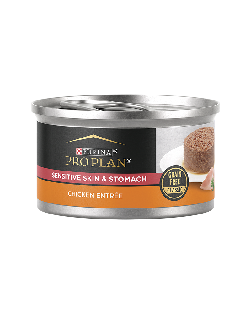 Best wet cat food for sensitive stomach cheap