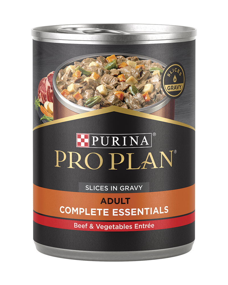 Professional grain sale free dog food