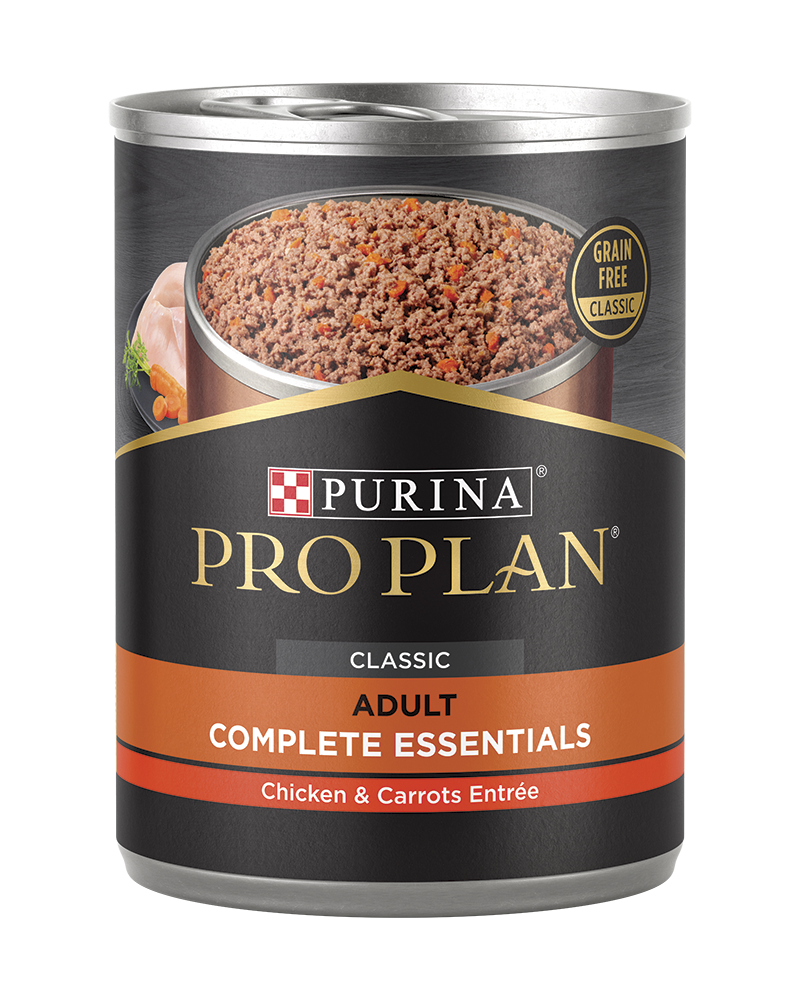 High calorie dog food hot sale canned