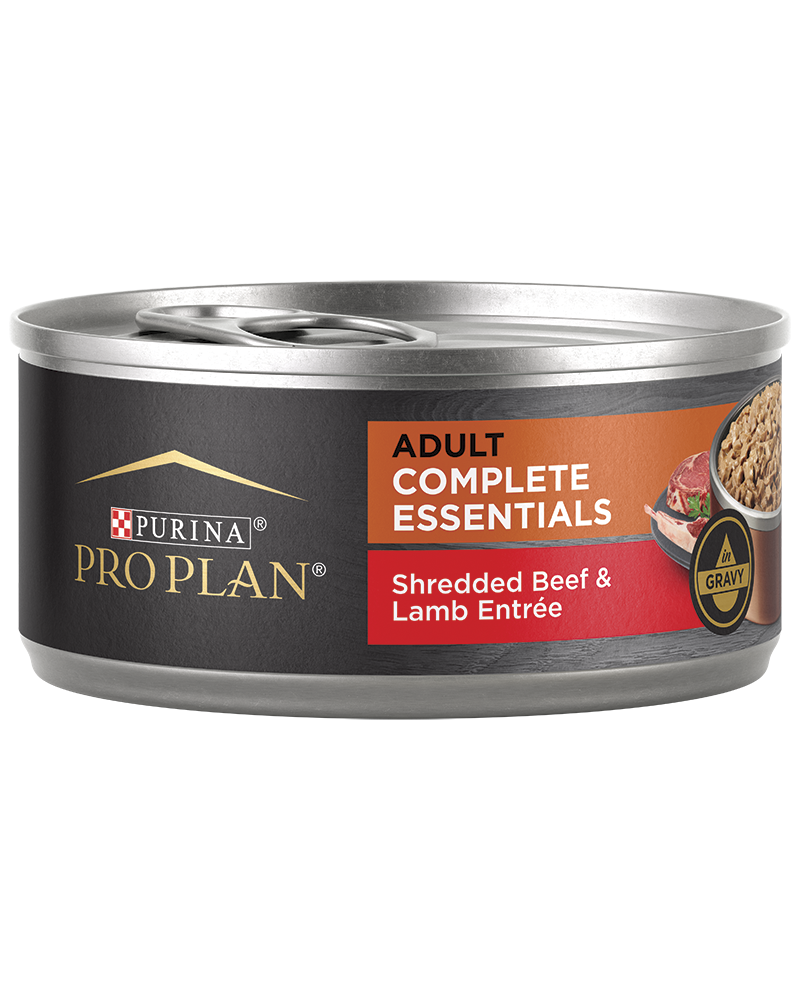 Pro plan sale shredded beef