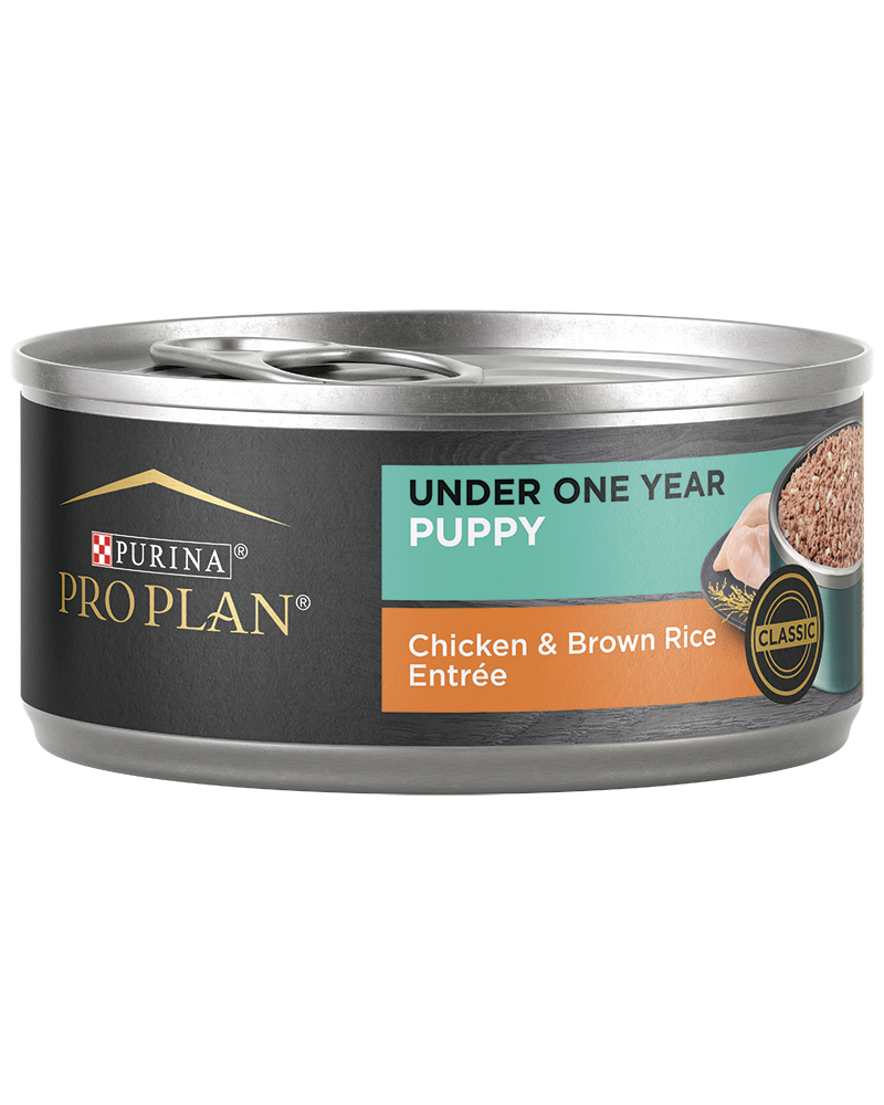 Purina pro cheap plan puppy canned