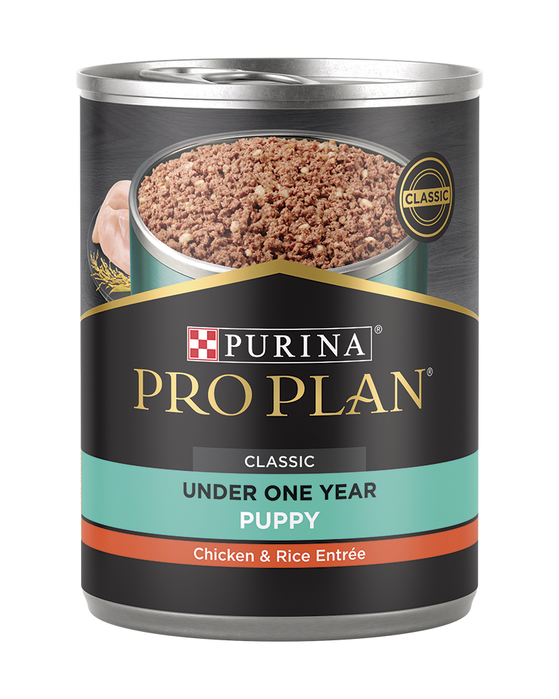 Pro Plan Development Chicken Rice Entree Wet Puppy Food Purina