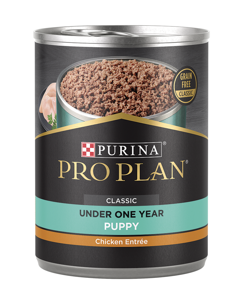 Pro Plan Development Grain Free Chicken Wet Puppy Food Purina US