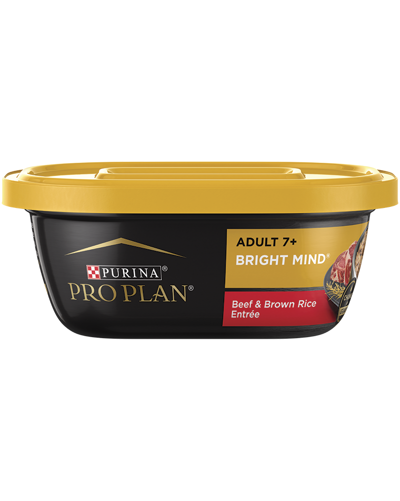Purina pro plan shop bright mind senior