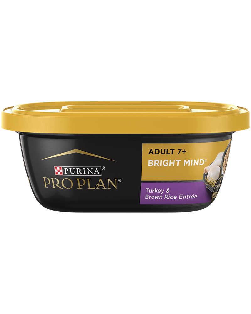 Pro plan 2025 bright mind
