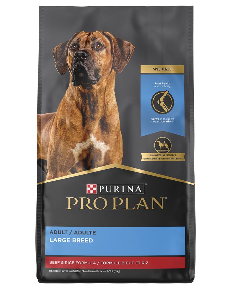 Pro Plan Large Breed Beef and Rice Dry Dog Food